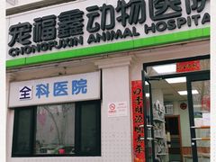 -宠福鑫动物医院(城北分院)