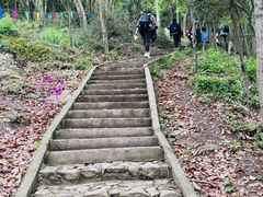 -上海佘山国家森林公园天马山园