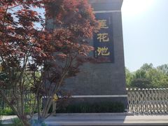 -莲花池公园