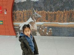 -杨庄(地铁站)