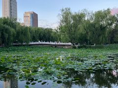 -满都海公园
