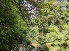 -龙苍沟森林公园