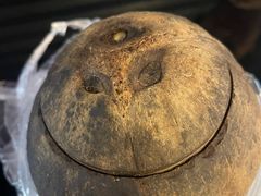 椰汁炖乌鸡-達揚原味燉品(文明路店)