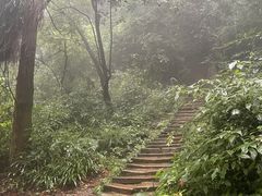 -青城山