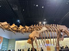 -衢州市博物馆