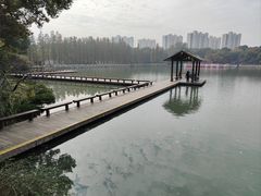 -圩墩遗址公园