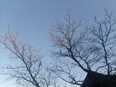 -锦溪古镇