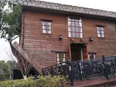 -金山农民画村-枫泾波兰倒置屋