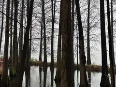 -东湖落雁景区