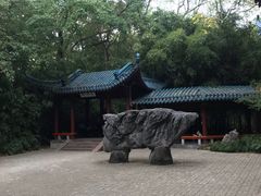 -赭山公园