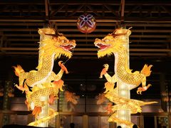 -武汉园博园(武汉自然博物馆)