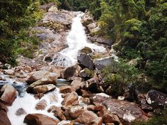 -海南热带雨林国家公园吊罗山景区