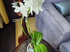 -北京四季酒店