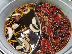 -青瓷火锅料理(西单大悦城店)
