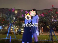 -钱江新城灯光秀