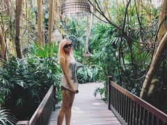 -卷心菜和避孕套餐厅(Pattaya)
