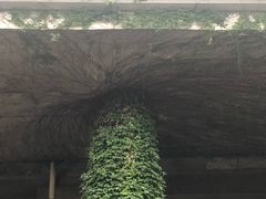 -广州医科大学附属第三医院(荔湾院区)