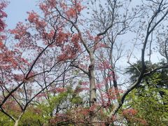 -人民公园-相亲角