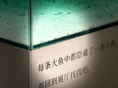 -江苏省美术馆(长江路新馆)