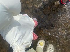 -千岛湖-欢乐水世界
