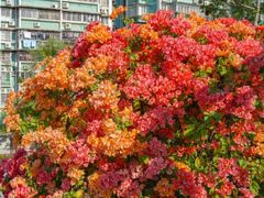 -天河客运站(地铁站)