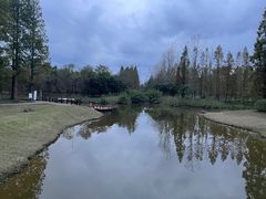 -黄海国家森林公园