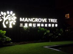 -三亚湾红树林度假世界(木棉酒店)