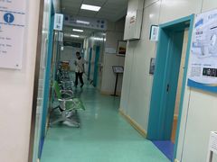 -北京观赏动物医院·24小时大型综合·猫专科·异宠专科