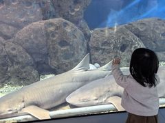 -福州罗源湾海洋世界旅游区