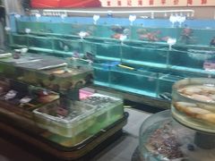 -强记海鲜·大排档(蛇口新街店)