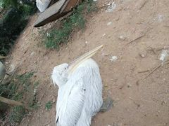 -无锡动物园·太湖欢乐园