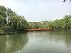 -圩墩遗址公园