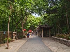-灵岩山风景区