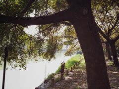 -成都市活水公园
