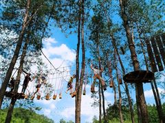 -九龙江国家森林公园