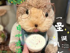 -Seesaw Coffee(88铜仁路店)