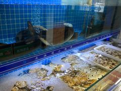 碳烤活鳗鱼-大油嘴碳烤油边