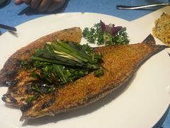 -香巴拉云南餐厅(华莱坞店)