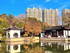 -红梅公园