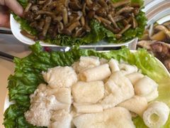 -爱膳菌锅锅(阳南店)