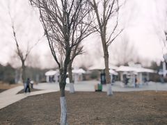 -长春公园(普阳街道)