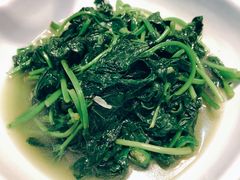 青椒煮红薯尖-天怡·鱼工厂(梅溪湖店)