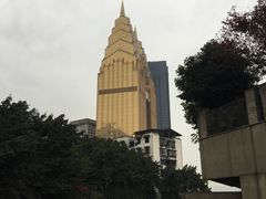 -三十三碗黄牛肉面(东原1891店)