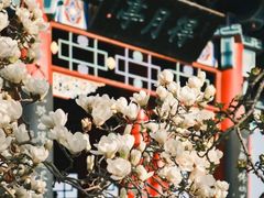 -济南大明湖景区
