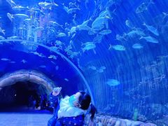 -华夏文旅海洋公园