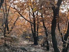 -沈阳辉山风景区