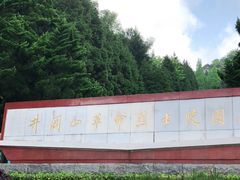 -井冈山革命烈士陵园