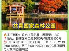 -上海共青森林公园