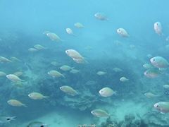 -蓝湾海滩
