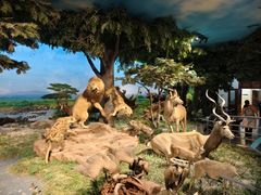 -国家自然博物馆